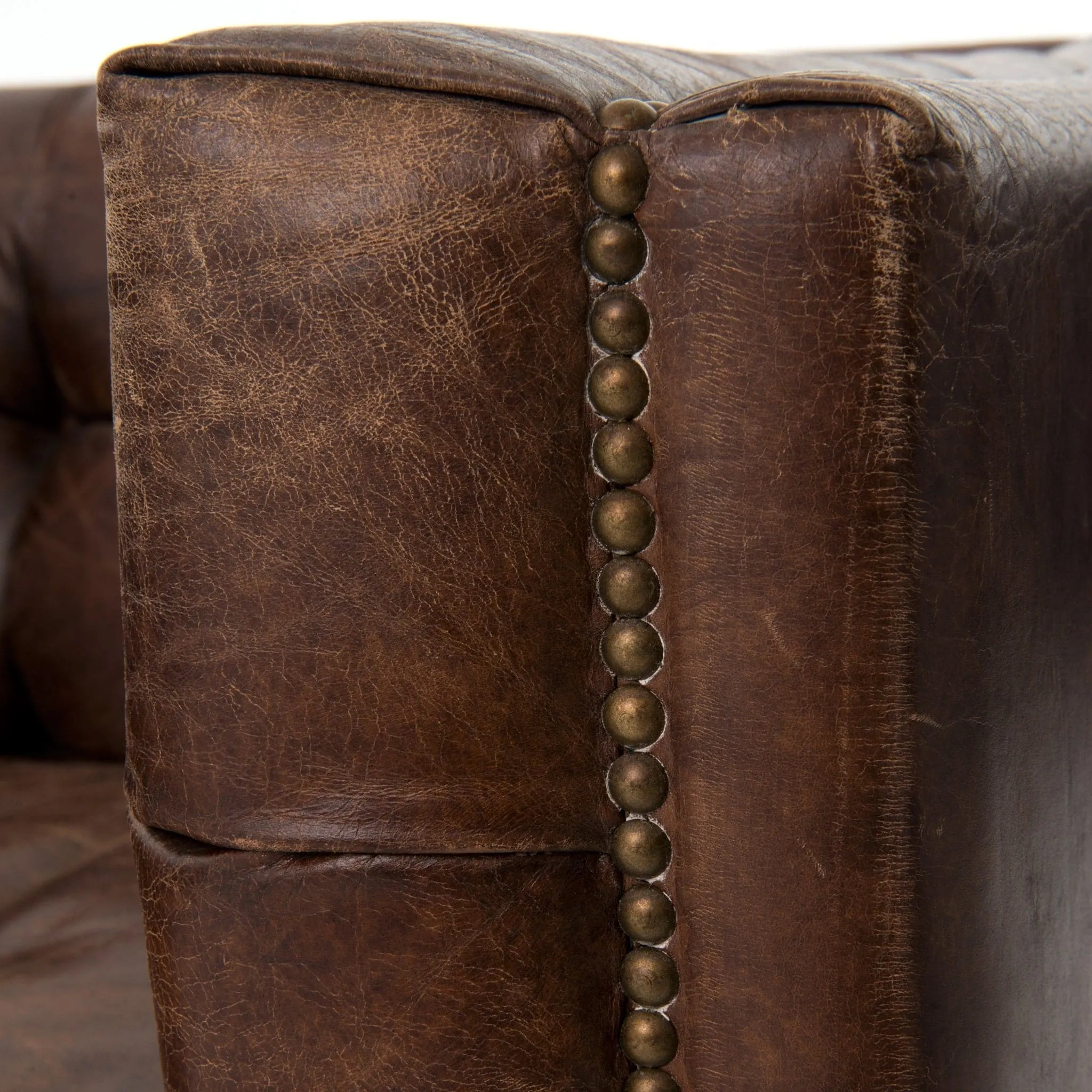 Abbott Club Chair in Cigar