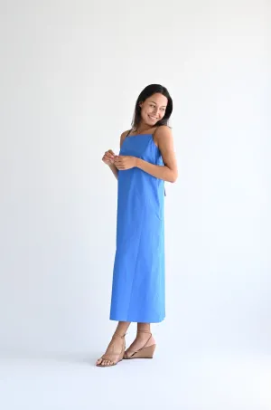 Dix Dress in Bluette