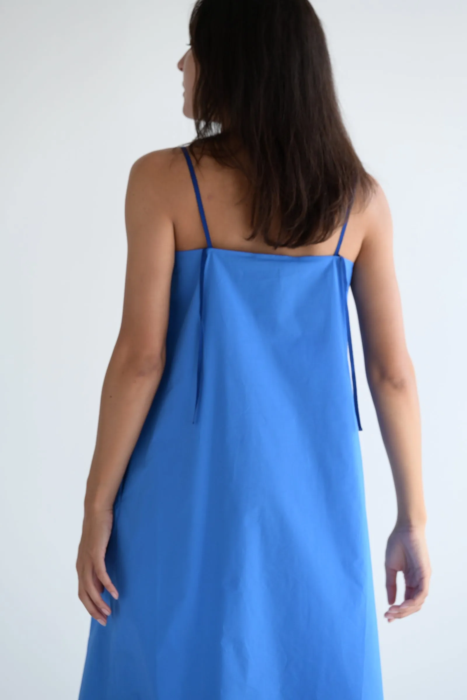 Dix Dress in Bluette