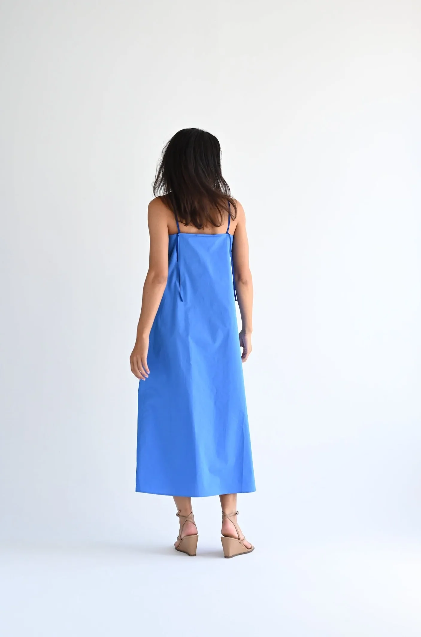 Dix Dress in Bluette
