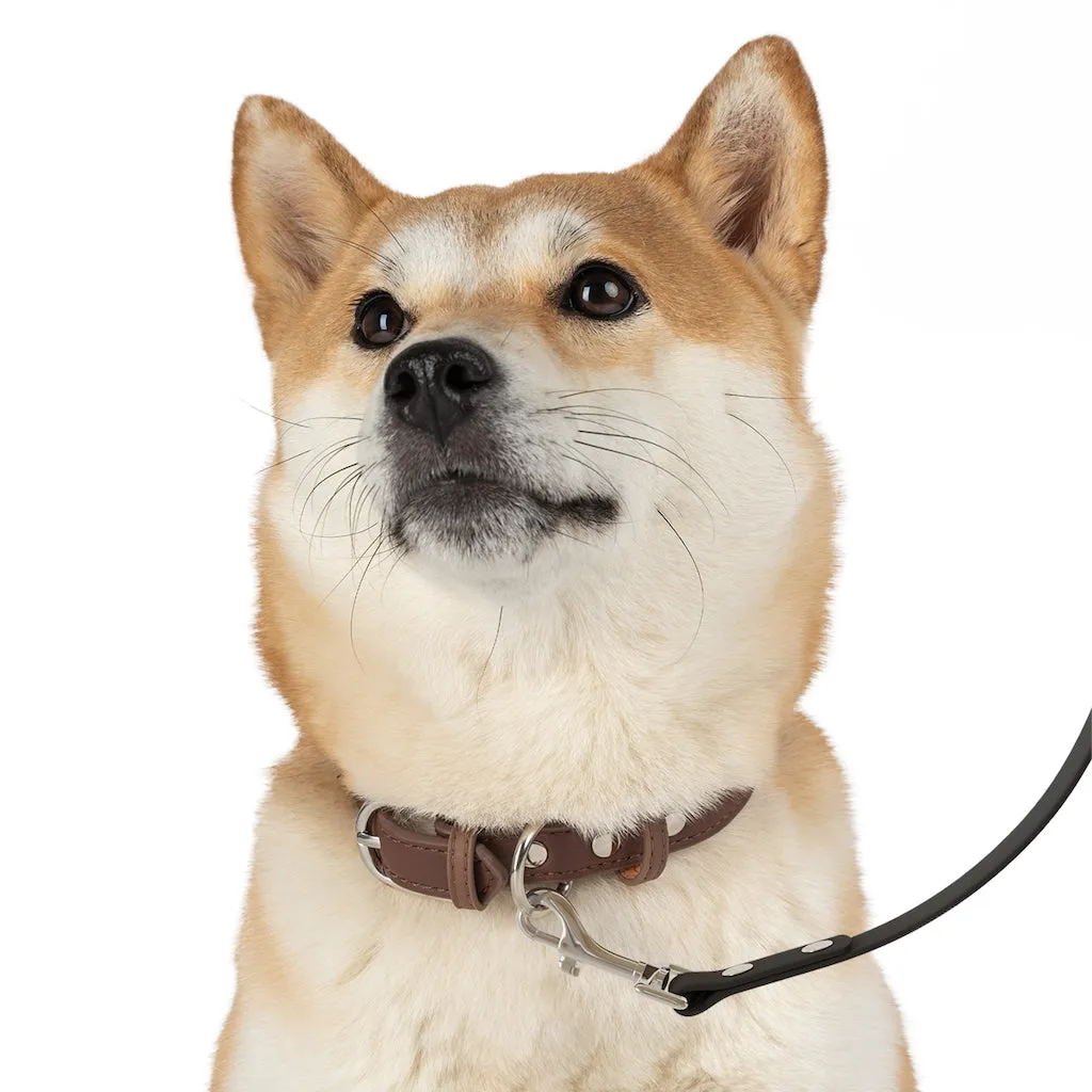 Fantasy Colourful Style Leash