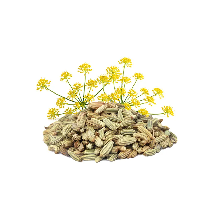 Fennel ( Sweet ) Essential Oil Organic