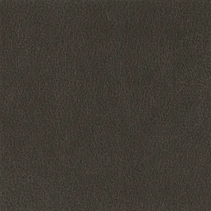 Fiesta-Coal