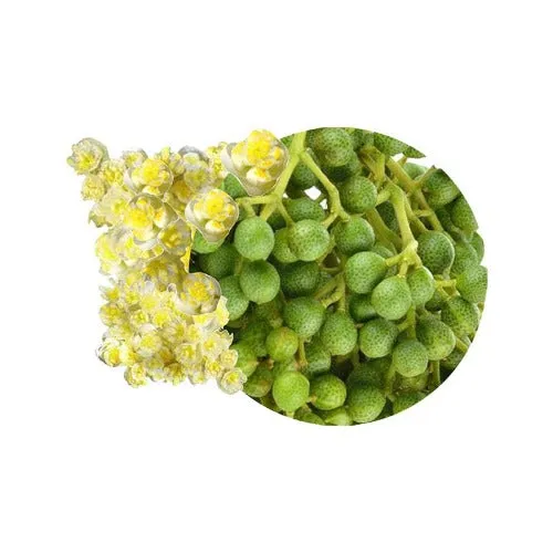 Litsea Cubeba essential oil May Chang Tropical Verbena