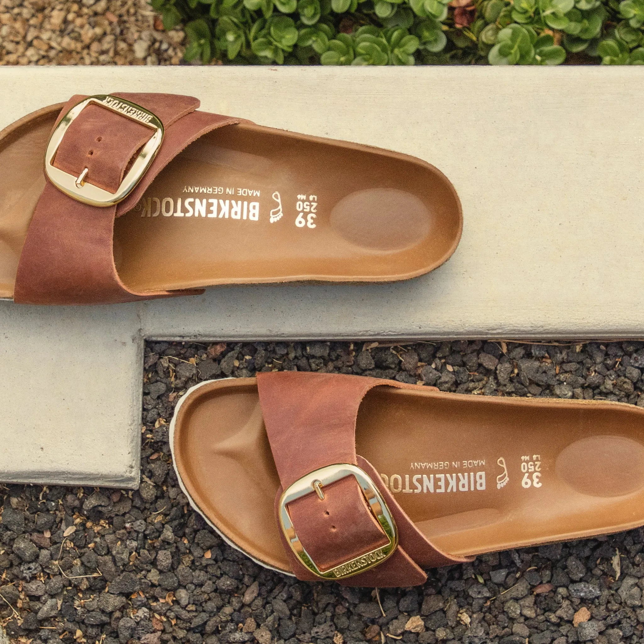 MADRID BIG BUCKLE - COGNAC - LEATHER
