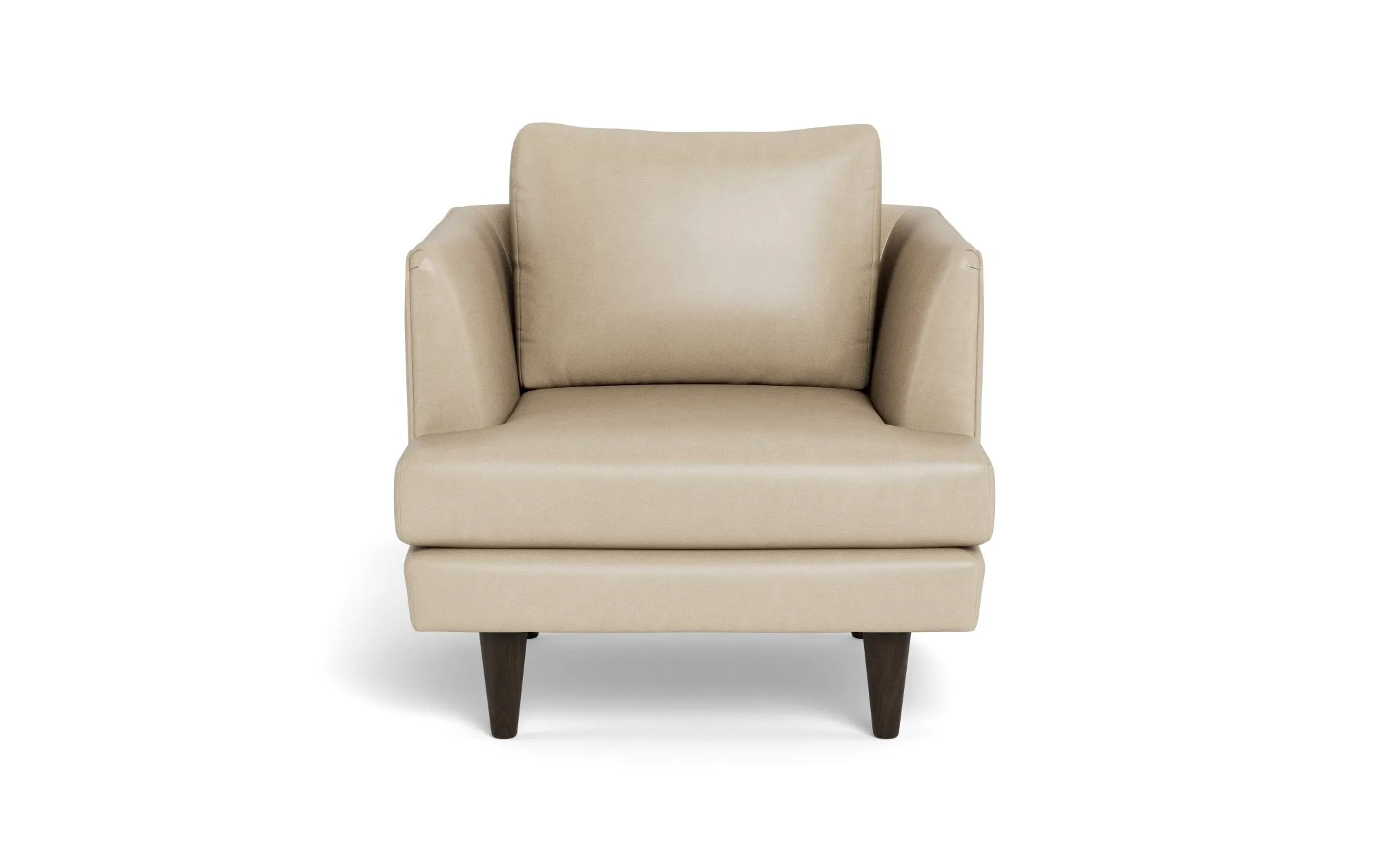 Rainey 35" Leather Arm Chair