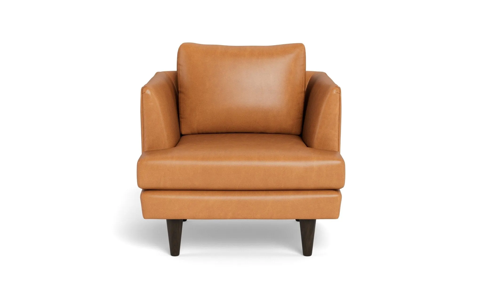 Rainey 35" Leather Arm Chair