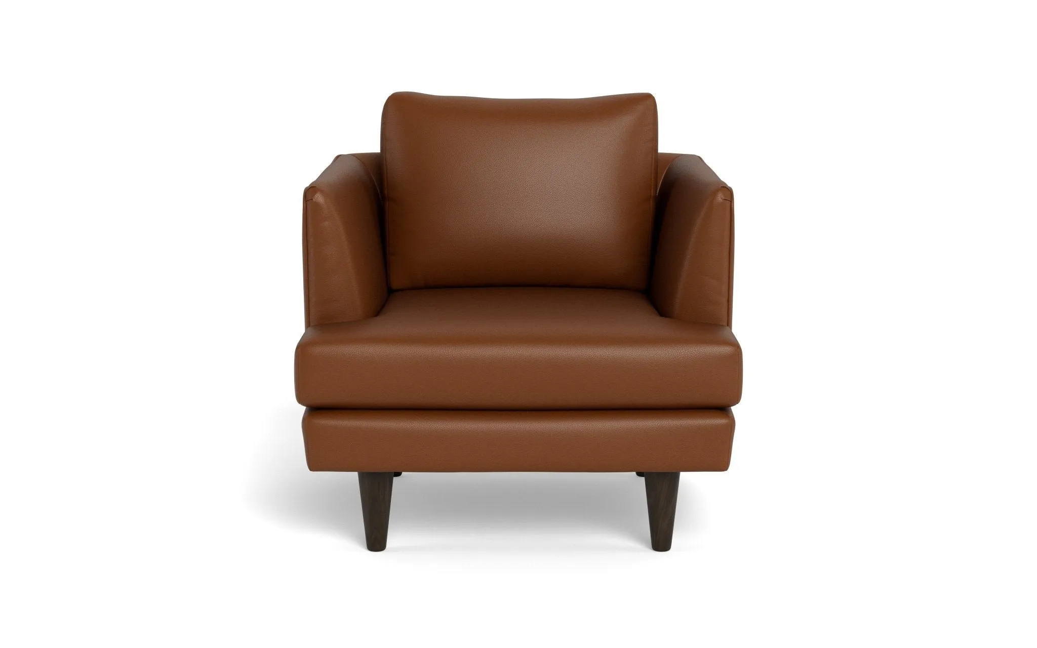 Rainey 35" Leather Arm Chair