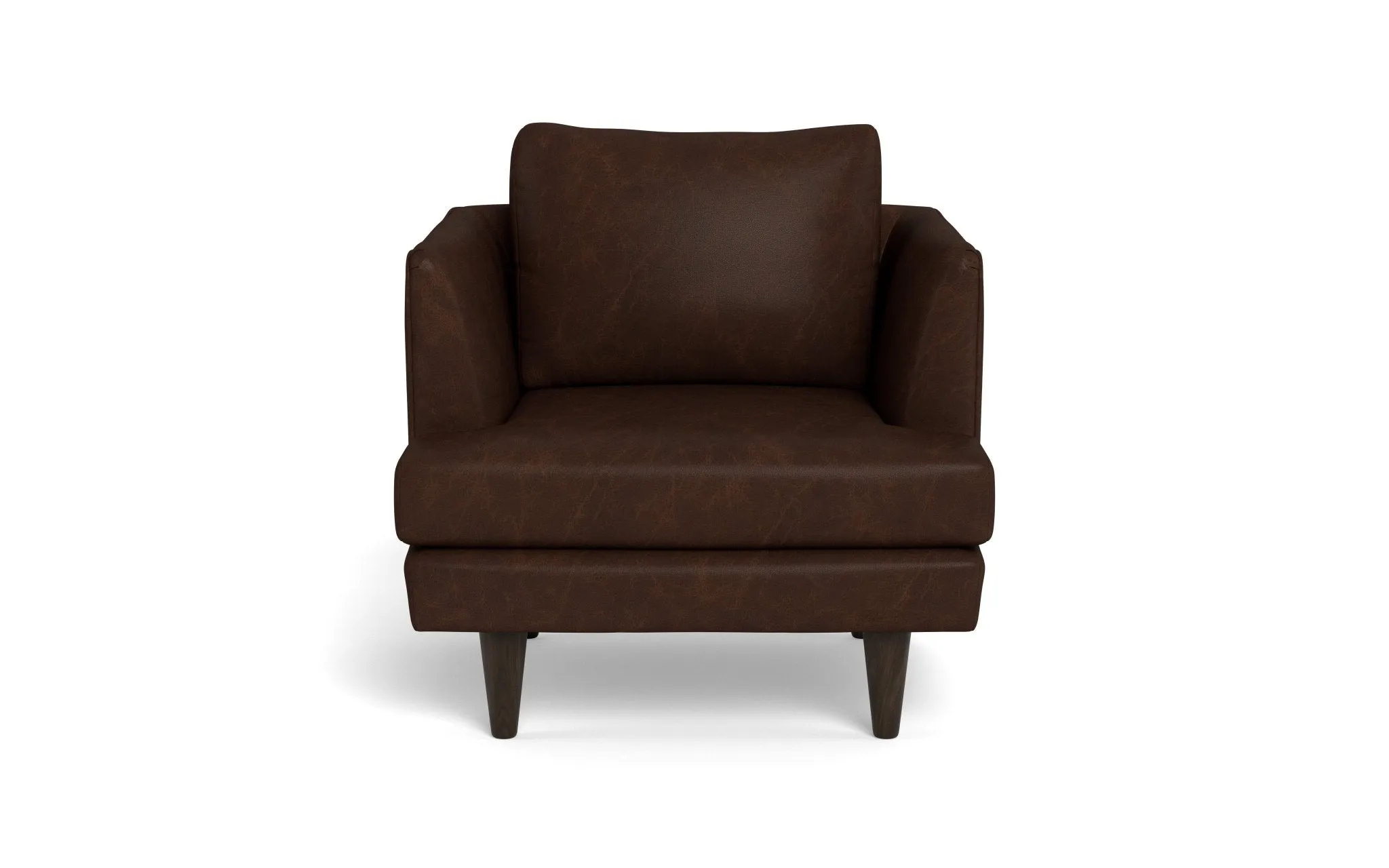 Rainey 35" Leather Arm Chair