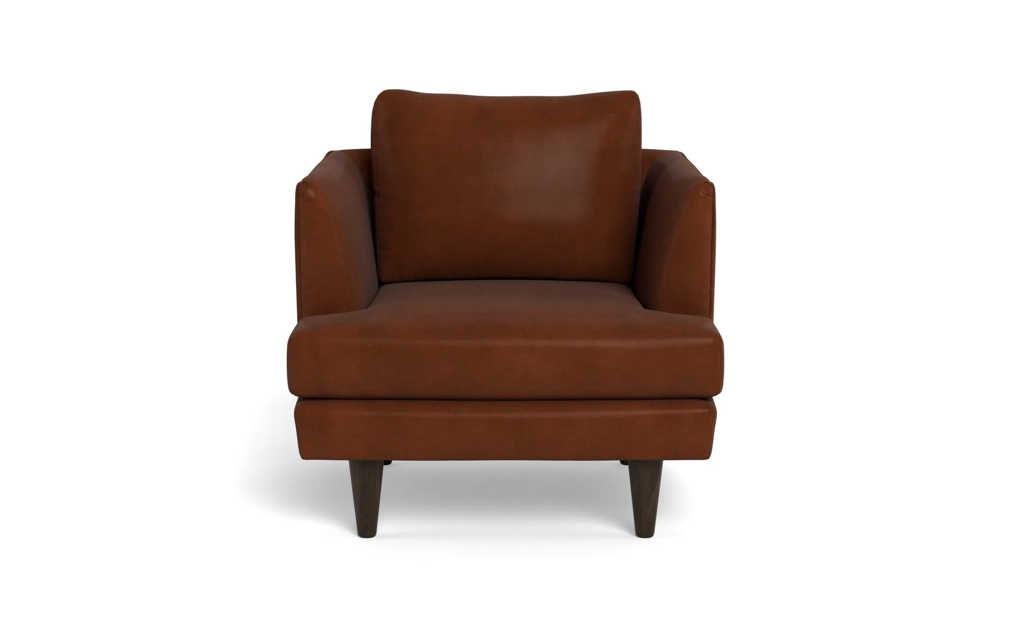 Rainey 35" Leather Arm Chair