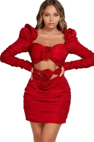Red Rose Rita Mini Dress