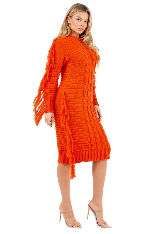 Tassel Sweater Dress