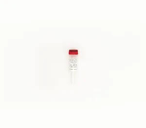 ZymoBIOMICS Microbial Community DNA Standard II (Log Distribution)